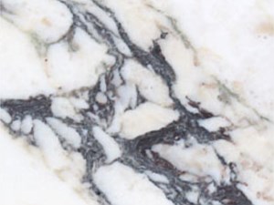 Breccia Capraia Polished and Honed